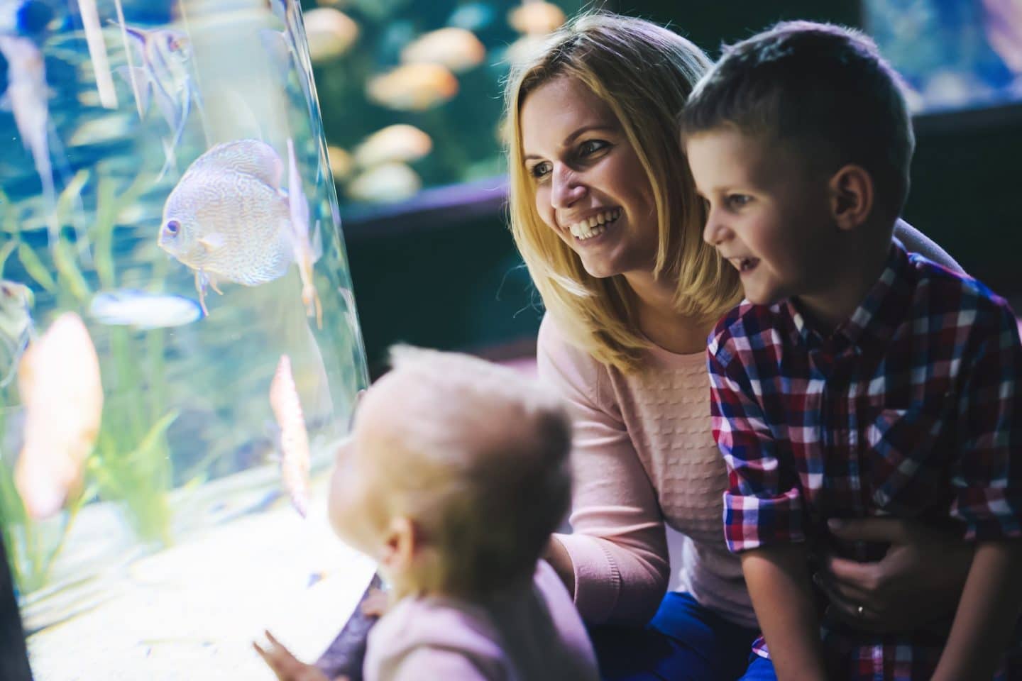 Mother and two kids looking at aquarium