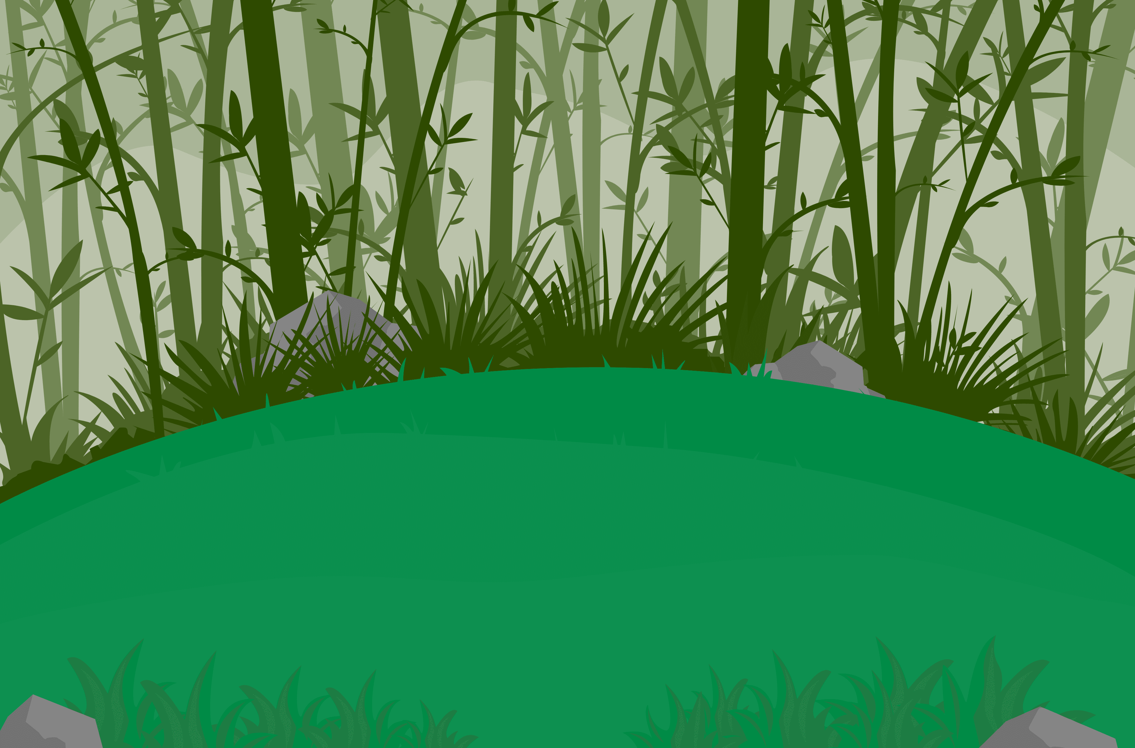 Bamboo forrest background